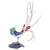 idyllia-scs-annual-edition-2026-lady-amherst’s-pheasant-swarovski-5718276-3