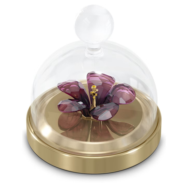 swarovski-garden-tales-hibiscus-bell-jar-small-purple-5619224