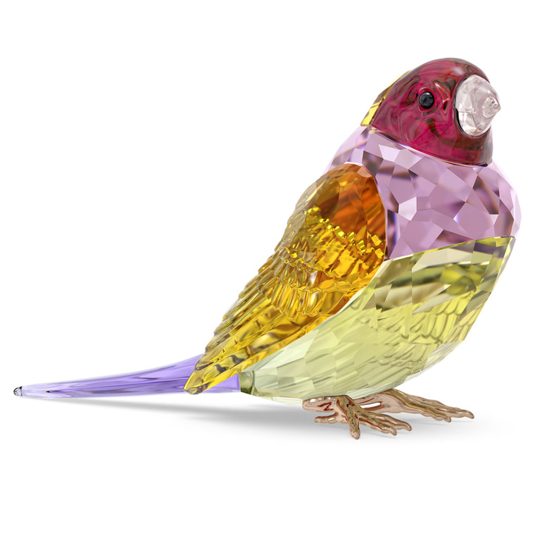 idyllia-SCS-gouldian-finch-large-multicolored-5689265-swarovski-1