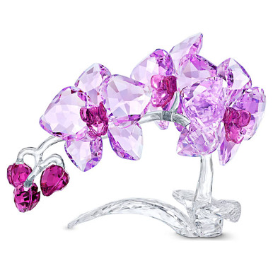 Swarovski クリスタルフラワー Swarovski Flowers Orchid, Purple, 5520373 - Four Seasons Jewelry
