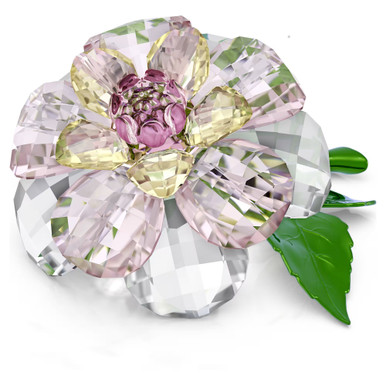 Swarovski Florere Jewelry Collection