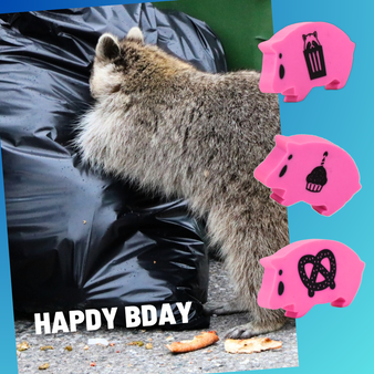 happy birthday trash panda