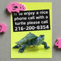 call this number to talk to a turtle