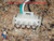 (3) Wire amp Cord 16/3 x 48, for Blower and (1) Speed Pumps