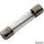 Slo Blo Fuse, 0.5A, 115v