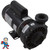 Hi-Flo, Pump, Waterway, 1.0hp, 115v, 2-Speed, 48 frame, 2" X  2", 10.8/2.8 Amp