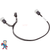 Splitter Y Cable, Balboa, BP, 4 Pin Molex