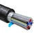5/16'' I.D.  Multilayer Barrier Trunk Line LUPULUS, 12 Product/4 Glycol, TF