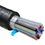 3/8'' I.D. FLAVOURLOCK Trunk Line, 8 Product/2 Glycol, TF