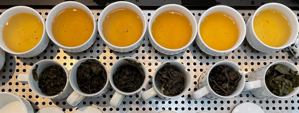 Oolong Starter Tea Club subscription — direct-from-farm Taiwanese oolong tea by J-TEA International