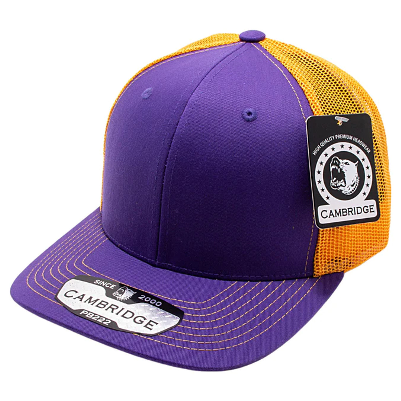 PB222 Pit Bull Cambridge Trucker Purple/Gold