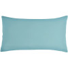 Indoor/Outdoor Decorative Pillow 12"x21"