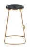 Bree Barstool: Where Glamour Meets Modern Simplicity (Set of 2)
