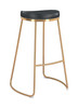 Bree Barstool: Where Glamour Meets Modern Simplicity (Set of 2)