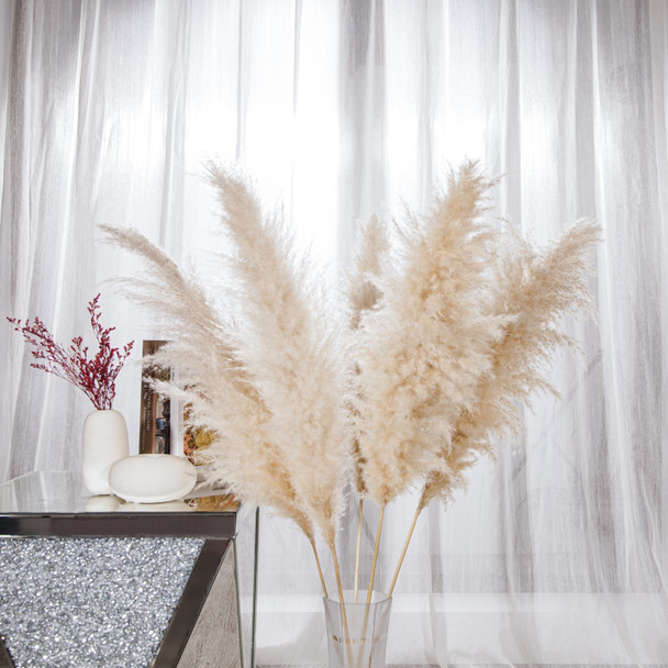 Natural Cream Pampas Grass 120cm 5 stems