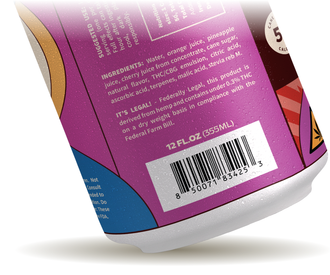 Nine Dot Berry Punch 10mg THC High Dose Can