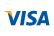 Visa Card Icon