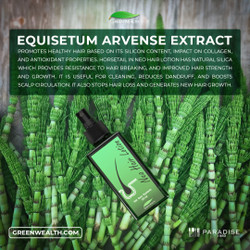 Benefits of Equisetum Arvense Extract