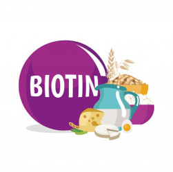 WHAT FOODS ARE HIGH IN BIOTIN?