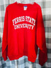Ferris State Bulldogs NCAA Champion Crew Neck Vintage Sweatshirt Champion 