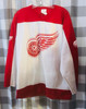 Detroit Red Wings NHL Dominik Hasek Name Number Fan Jersey SP Sports 