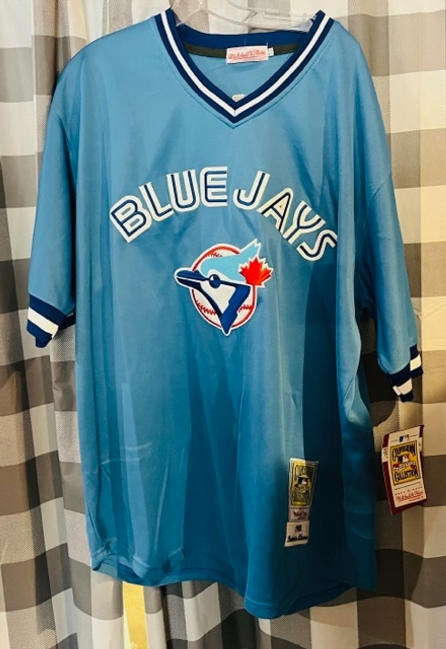 Toronto Blue Jays MLB Majestic Carlos Delgado Pullover Jersey