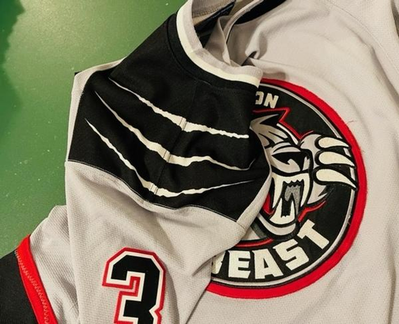 Some concepts I did for the Brampton Beast of the ECHL, a 3rd jersey and  logo : r/hockeyjerseys