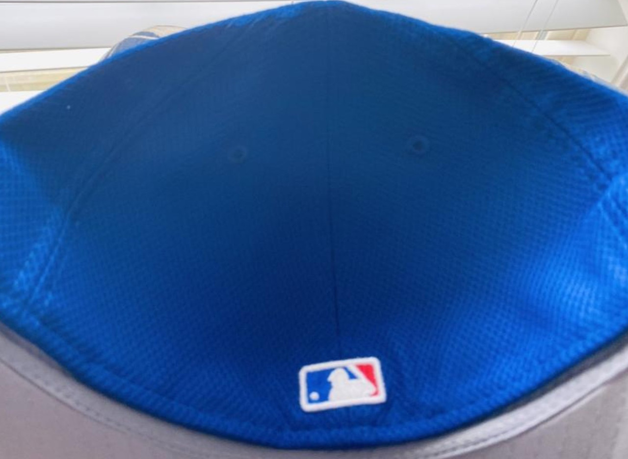 Chicago Cubs Hat Sloan Park MLB Baseball Spring Training Arizona Cap  Adjustable