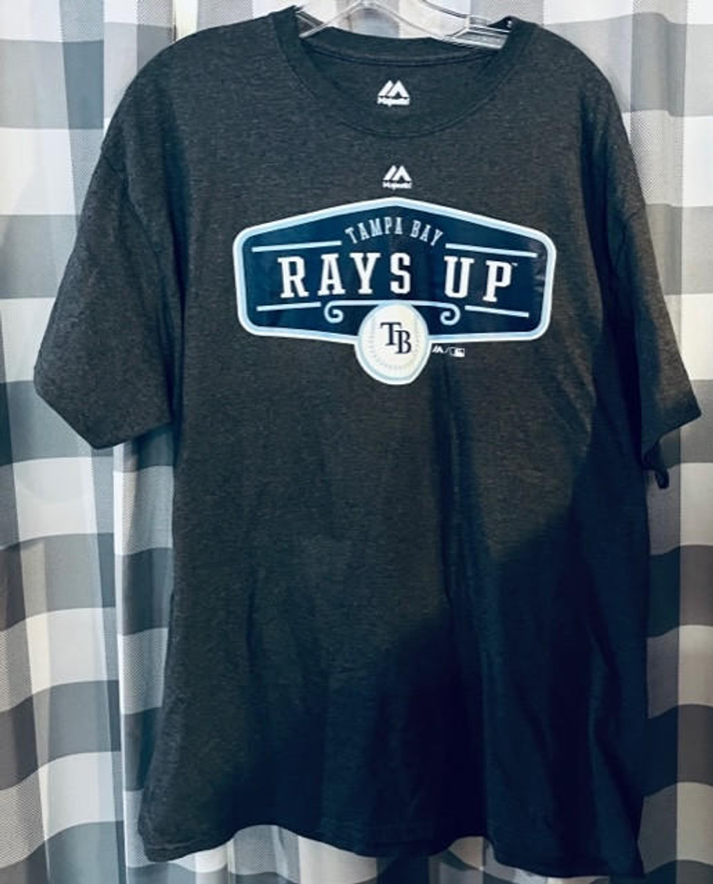 Tampa Bay Rays MLB Majestic Authentic Team Logo T-shirt