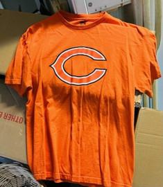 Chicago Bears NFL Team Logo and Name Authentic T-shirt Junk Food