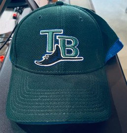 Tampa Bay Devil Rays MLB New Era 39Thirty Vintage BP Hat New Era 