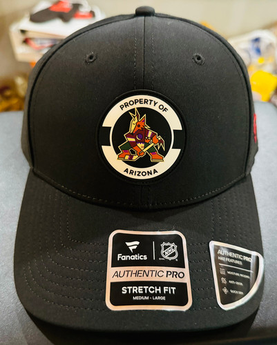 Arizona Coyotes NHL Kachina Authentic Pro Stretch Fit Hat Fanatics 197335325301