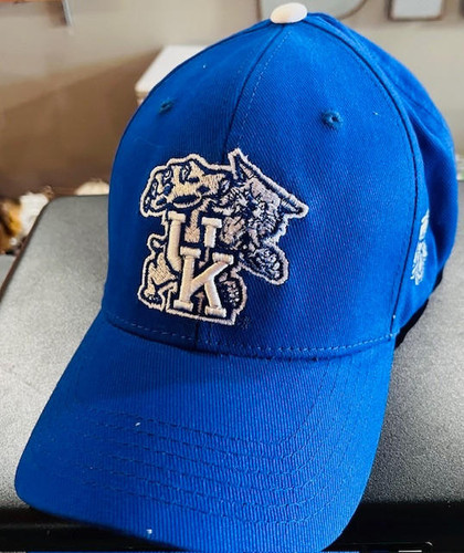 Kentucky Wildcats NCAA Vintage Team Logo Adjustable Hat Fanatics 195995543486