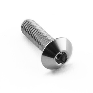 Vis à tête bombe en Inox M6 x (1.00mm) x 20mm Vis à tête bombe en Inox M6 x (1.00mm) x 20mm
