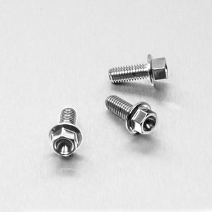 Kit Visserie Fixation réservoir de Frein Arrière et Maître Cylindre Acier Inoxydable Hex à Bride Kit Visserie Fixation réservoir de Frein Arrière et Maître Cylindre Acier Inoxydable Hex à Bride