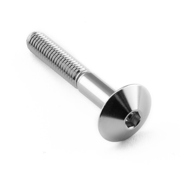 Vis à  tête bombe en Inox M6 x (1.00mm) x 40mm