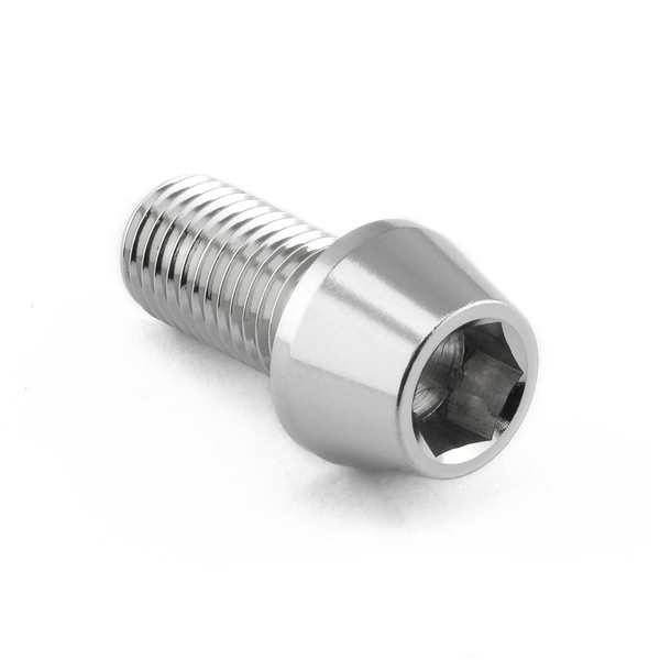 Vis BTR Conique en Inox M10 x (1.25mm) x 20mm