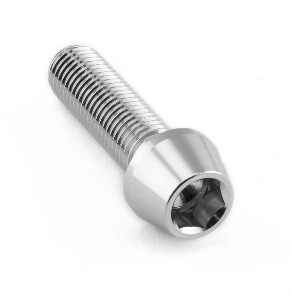 Vis BTR Conique en Inox M10 x (1.25mm) x 35mm