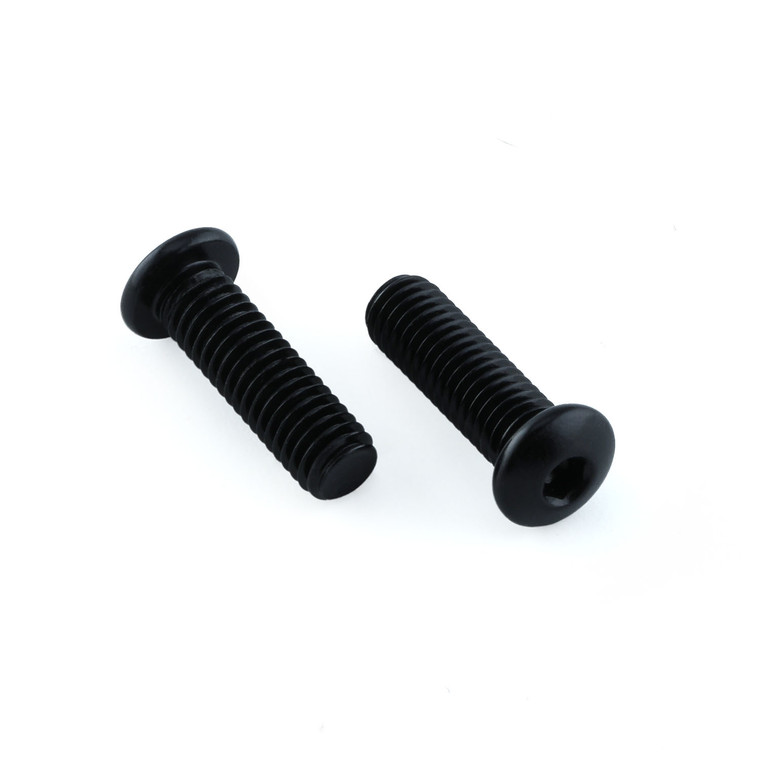 Aluminium - Vis de porte bidon M5x(0.80mm)x16mm Tête bombée XS pack de 2 Noir