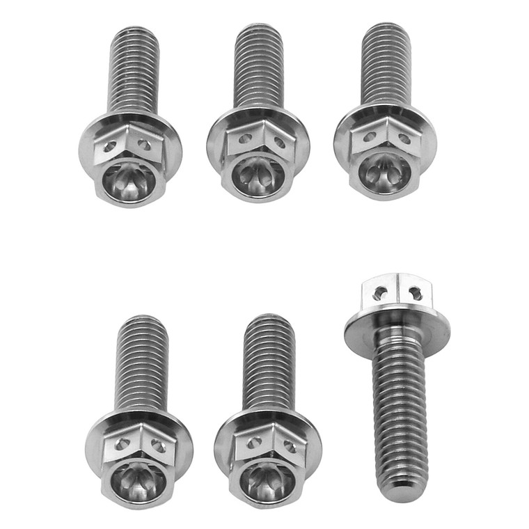 Titanium Disc Bolts M6x(1.00mm)x20mm Race Spec Pack x6