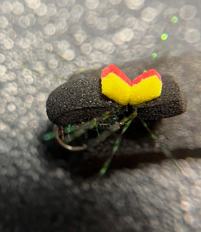 Foam Beetle