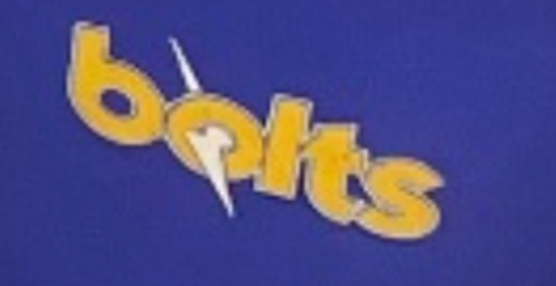 ALANTON LOGO (HEAT PRESS)