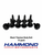 1/4"-20 x 1" Black Titanium Body Bolts – 10 Pack