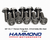 3/8"-16 x 1" Titanium Flange Bolts – 6 Point Safety Wire Head – 10 Pack