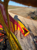Two Vertical Reality Mobile Attractions for Sale