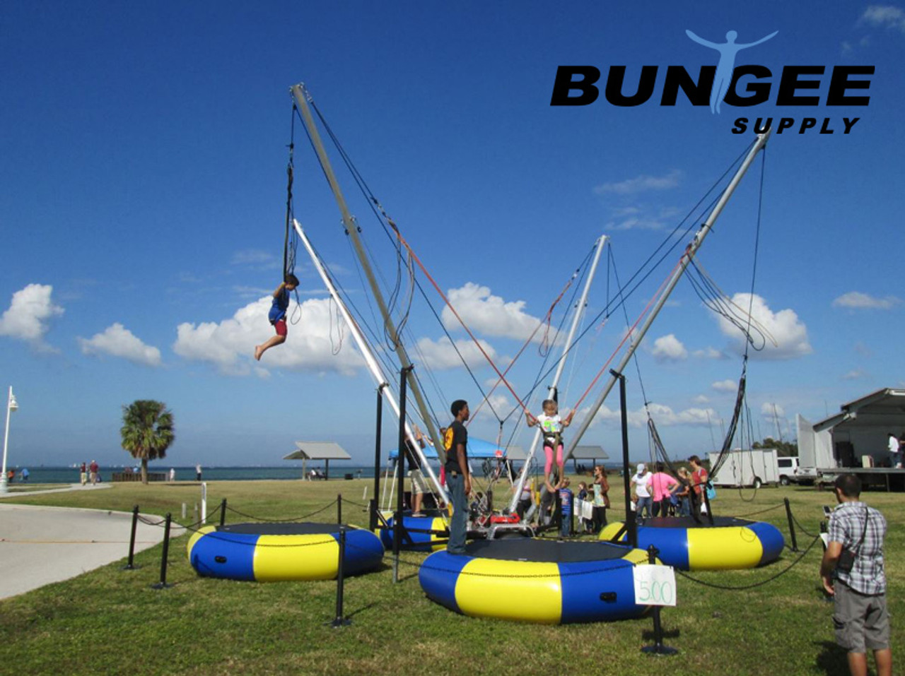 bungee