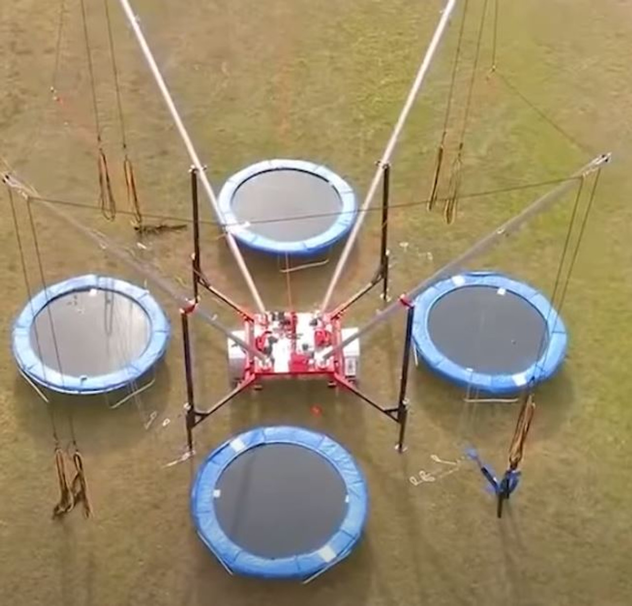 NEW Spider Jump 4 Station Bungee System