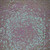 Nylon Spandex Fabric