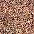 Nylon Spandex Fabric