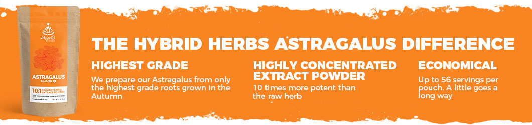 astragalus-powder-difference.jpg